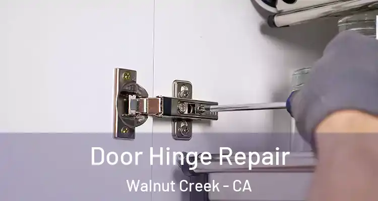  Door Hinge Repair Walnut Creek - CA