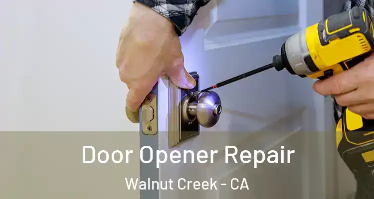  Door Opener Repair Walnut Creek - CA