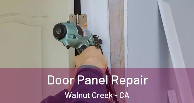  Door Panel Repair Walnut Creek - CA