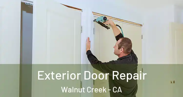  Exterior Door Repair Walnut Creek - CA