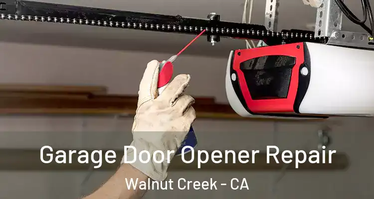  Garage Door Opener Repair Walnut Creek - CA