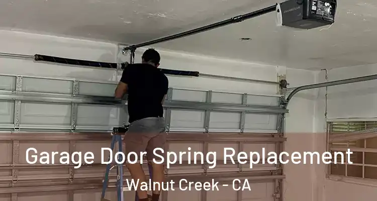  Garage Door Spring Replacement Walnut Creek - CA