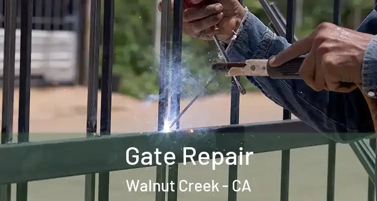  Gate Repair Walnut Creek - CA