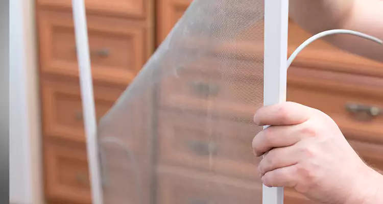 Privacy Mesh Screen Door Installation in Walnut Creek, CA
