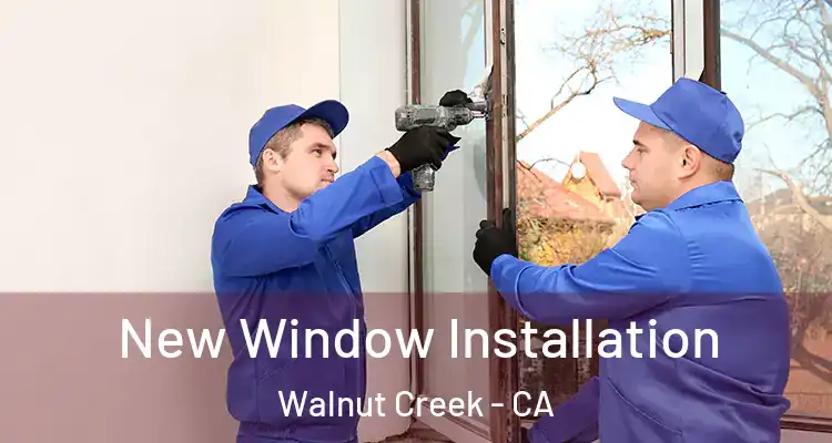  New Window Installation Walnut Creek - CA