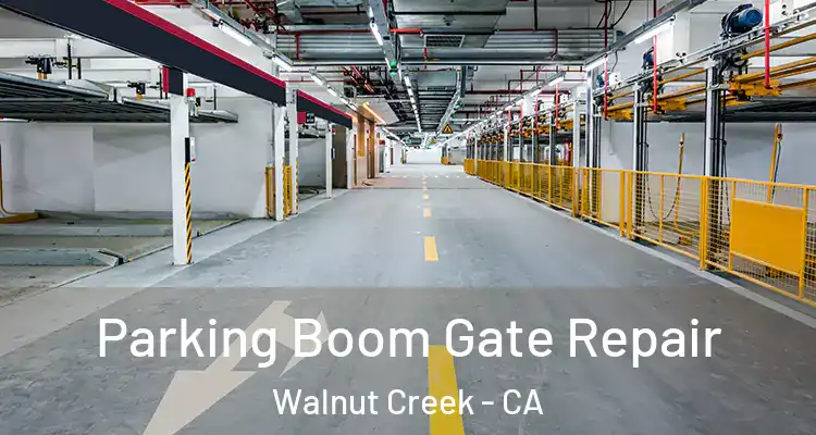  Parking Boom Gate Repair Walnut Creek - CA