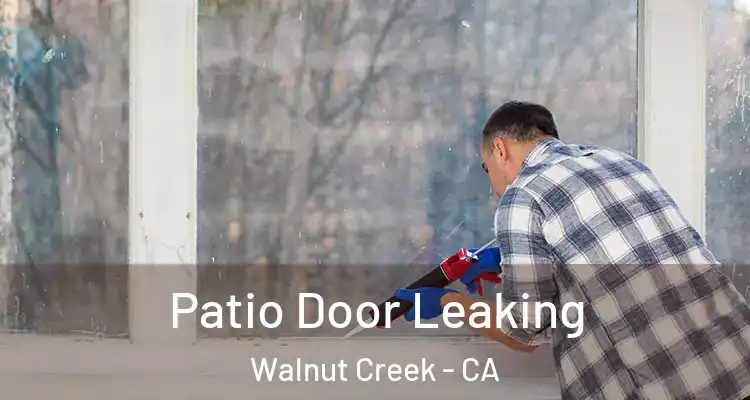  Patio Door Leaking Walnut Creek - CA