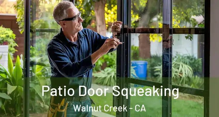 Patio Door Squeaking Walnut Creek - CA