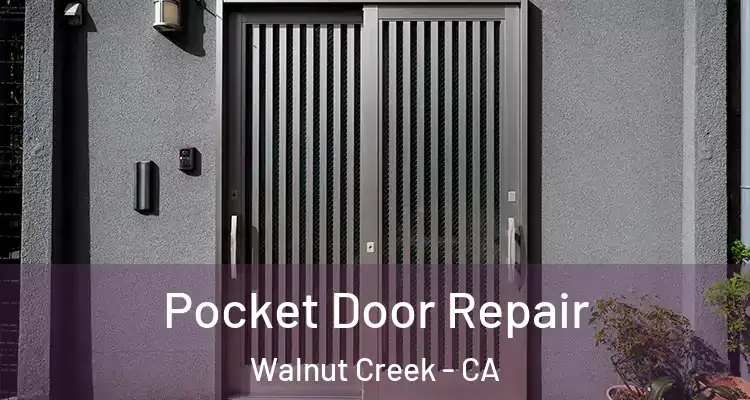  Pocket Door Repair Walnut Creek - CA