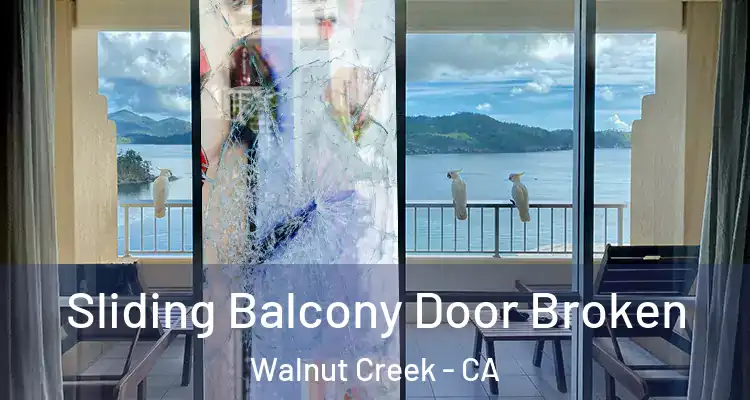  Sliding Balcony Door Broken Walnut Creek - CA
