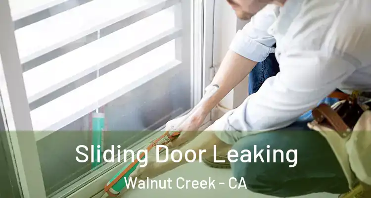  Sliding Door Leaking Walnut Creek - CA
