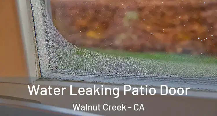  Water Leaking Patio Door Walnut Creek - CA