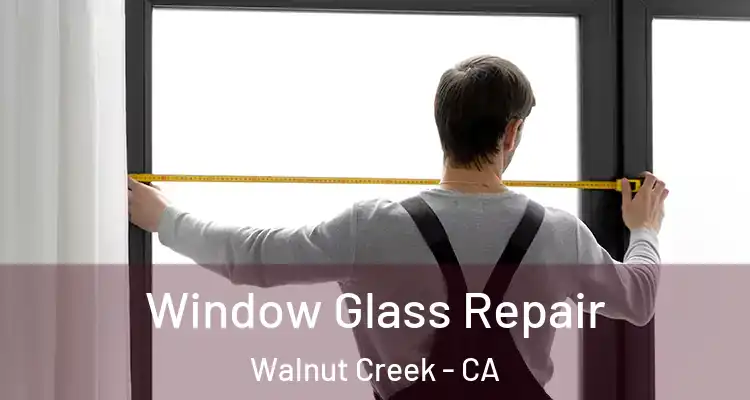  Window Glass Repair Walnut Creek - CA